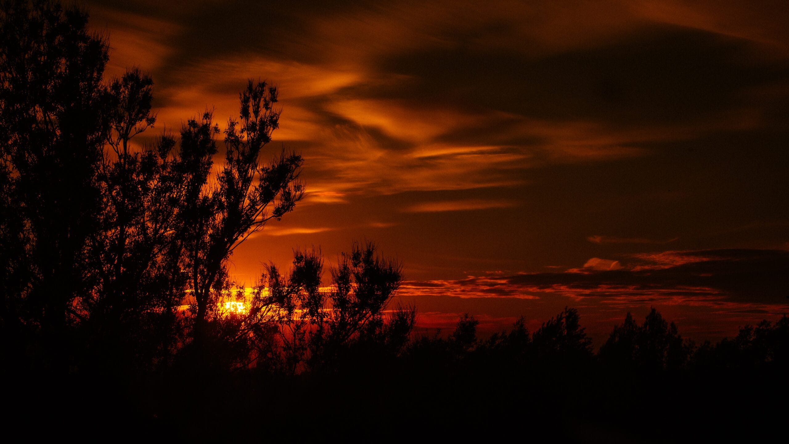 Red Sky